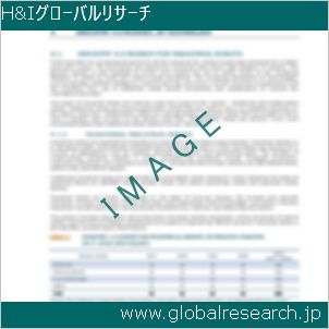 グローバルリサーチ調査レポートのイメージ